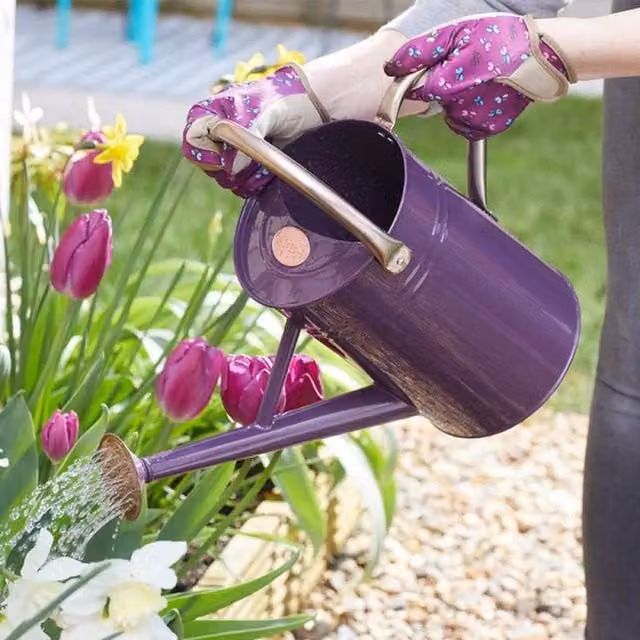 Garden Mile Purple Metal Rose Watering Can, 4.5l