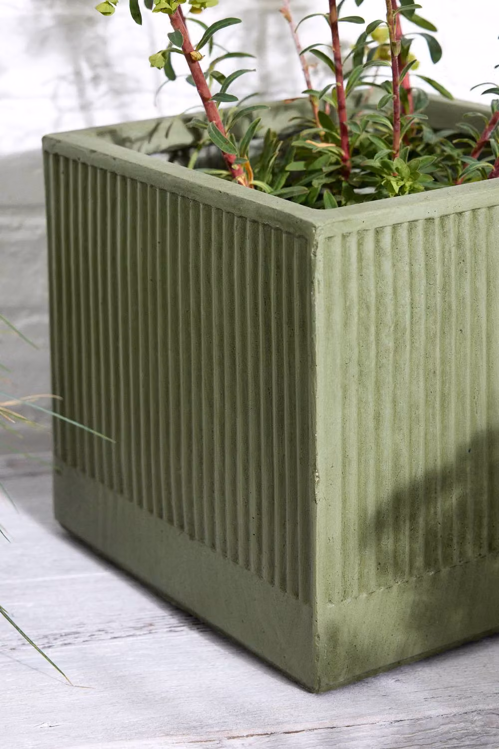 Dibor Small Sage Green Ribbed Fibre Clay Indoor Outdoor Plant Pot, H 25 cm x W 25 cm – 4
