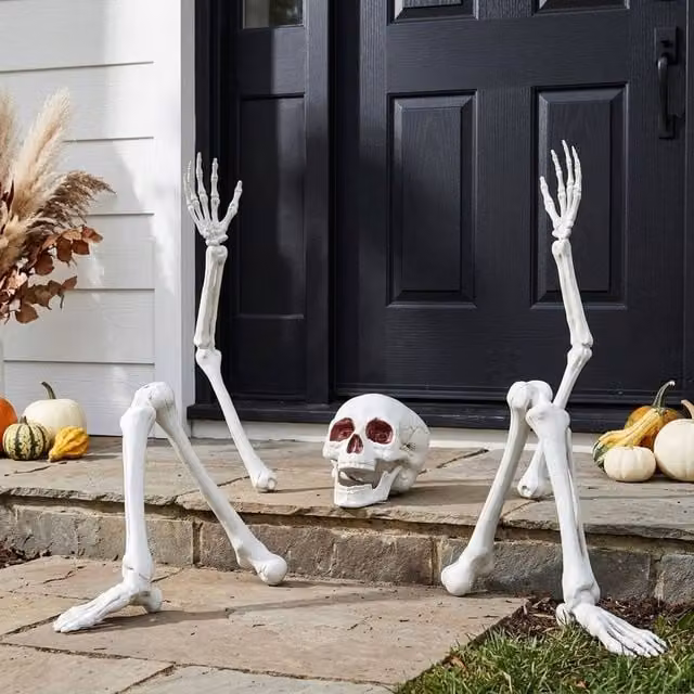 Garden Greatness Halloween Skeleton Bones Scene Kit in White and Multicolour – 1
