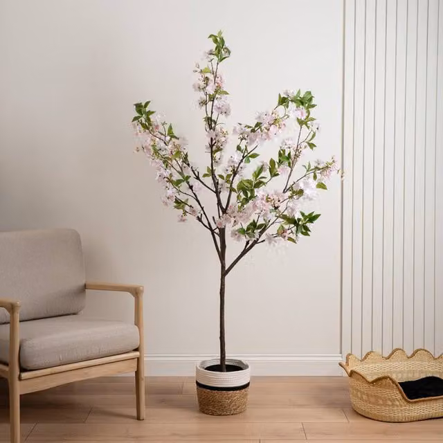 Scottish Everlastings Ltd Pink Cherry Blossom Tree, Height: 180 cm