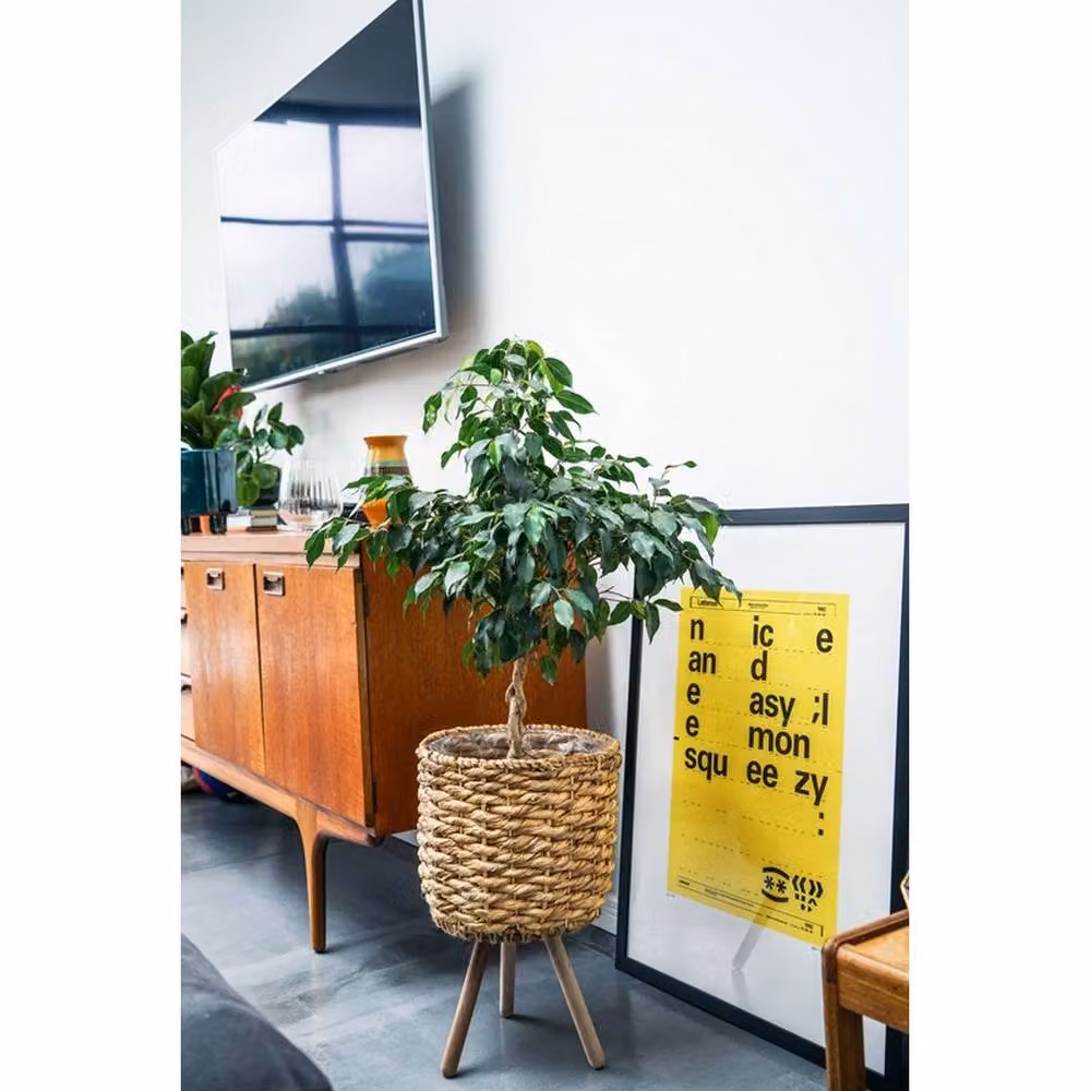 Lemon Pavilion Natural Water Hyacinth Lined Open Weave Basket on Legs, W: 30 cm, D: 30 cm, H: 45 cm – 4