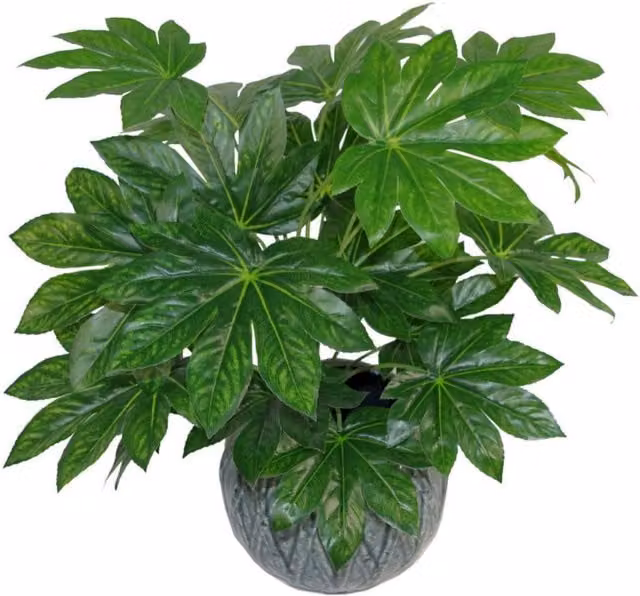 Leaf Design UK Green Artificial Potted Tabletop Plant with Realistic Foliage