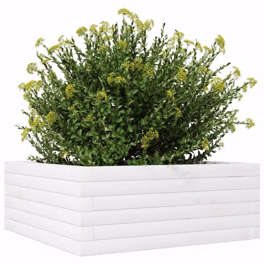Berkfield Home White Pine Wood Garden Planter Tub W/D/H: 60 x 60 x 23 cm – 2