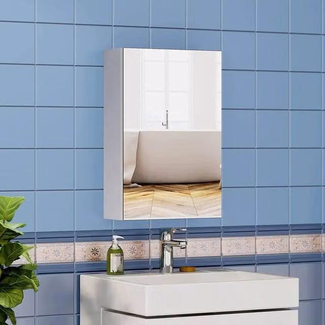 FORGEVIO Silver Wall Mounted Single Door Mirror Cabinet with Internal Shelves, W: 40 cm, H: 60 cm