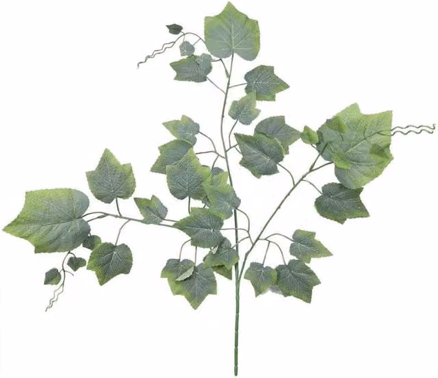 KDMD Essential Green Grape Spray 12 x 70 ml Organic Floral Scent