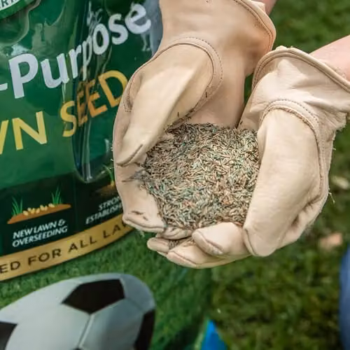 Gro-Sure Multi Purpose Lawn Seed, 10m2 + 30% Extra, Green – 2