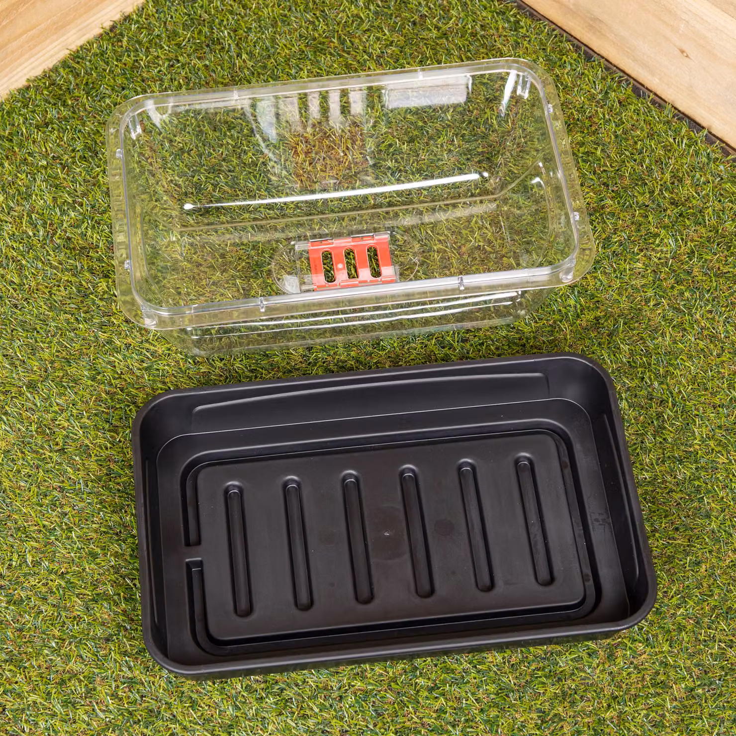 Samuel Alexander Pack of 2 Grostart Midi Unheated Seed Starter Trays in Black and Transparent, 38 cm – 2