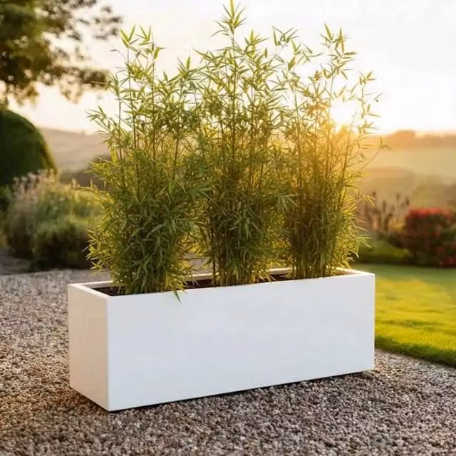 White Galvanised Steel Trough Planter Tub, W: 100 cm