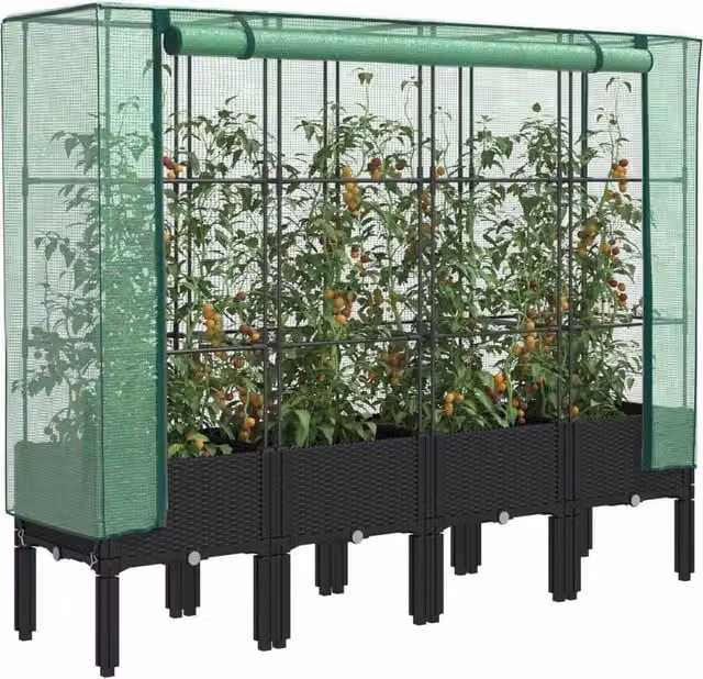 Berkfield Home Raised Bed with Greenhouse Cover in Black Rattan Look, W/D/H: 160 x 40 x 140 cm – 1
