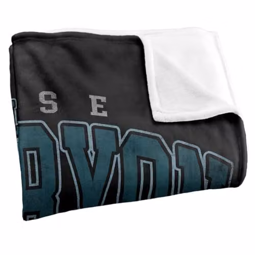 Warner Bros. Game of Thrones Varsity Velaryon Super Soft Fleece Throw Blanket, Multicolour, W: 152.4 cm x H: 152 cm – 2