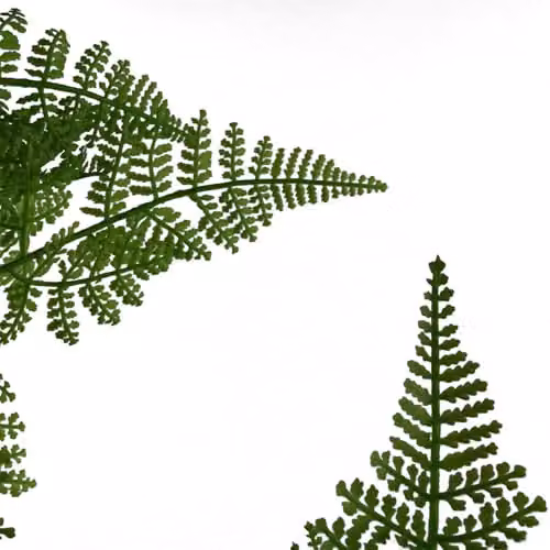 Leaf Artificial Moss Base Fern Foliage Potted Plant, Green, Height: 60 cm – 4