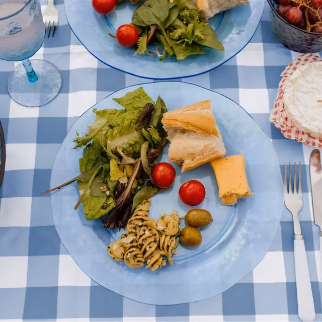 Bayside Pack of 6 Blue Acrylic Dinner Plates