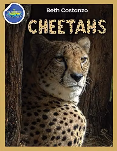 Beth Costanzo Cheetah Activity Workbook for Children, Ages 4-8, Multicolour Paperback
