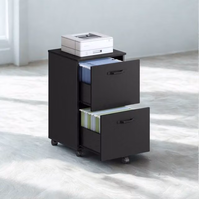 Pirlo Plush 2 Drawer Portable Rolling Filing Cabinet in Black