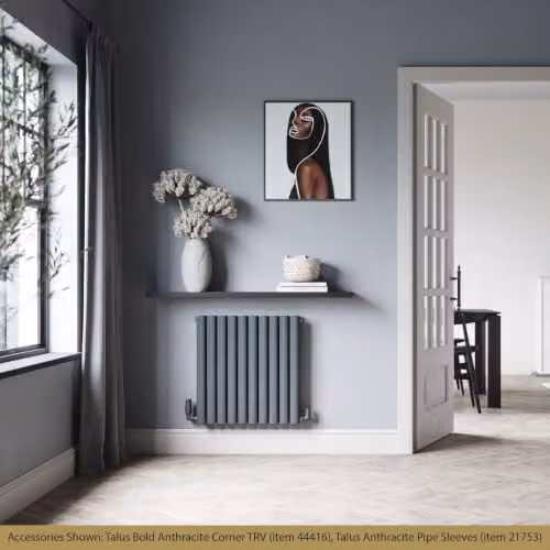 Omeara Anthracite Elliptical Tube Horizontal Designer Radiator, H: 60 cm, W: 58 cm – 3