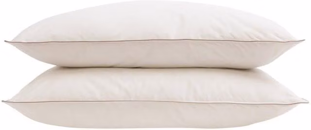 Soak&Sleep Microfibre Standard Pillow Pair in White, Soft/Medium Support