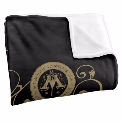 Warner Bros. Harry Potter Ministry of Magic Silky Touch Super Soft Fleece Throw Blanket, Multicolour, W: 127 cm x D: 152 cm – 2