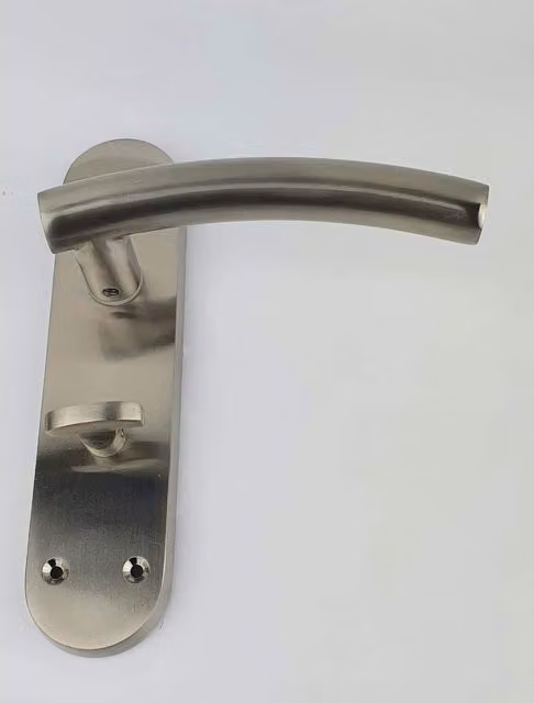Golden Grace Brushed Silver Stainless Steel Bathroom Door Handles on Backplate