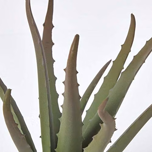 HOMESCAPES Aloe Vera Artificial Succulent Plant in a Round Black Plastic Pot, Green, Height: 30 cm – 4