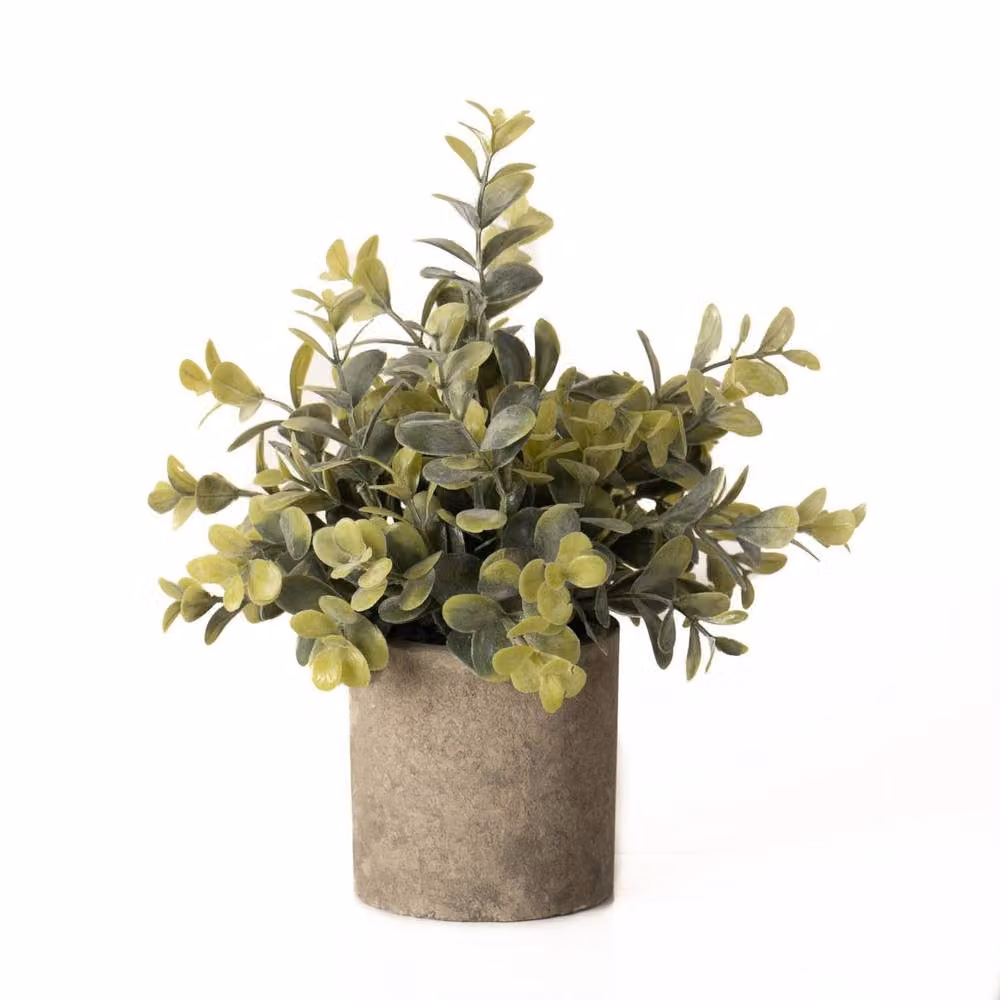 Wyld Haus Small Green Eucalyptus Artificial Plant in a Stone Effect Pot – 2