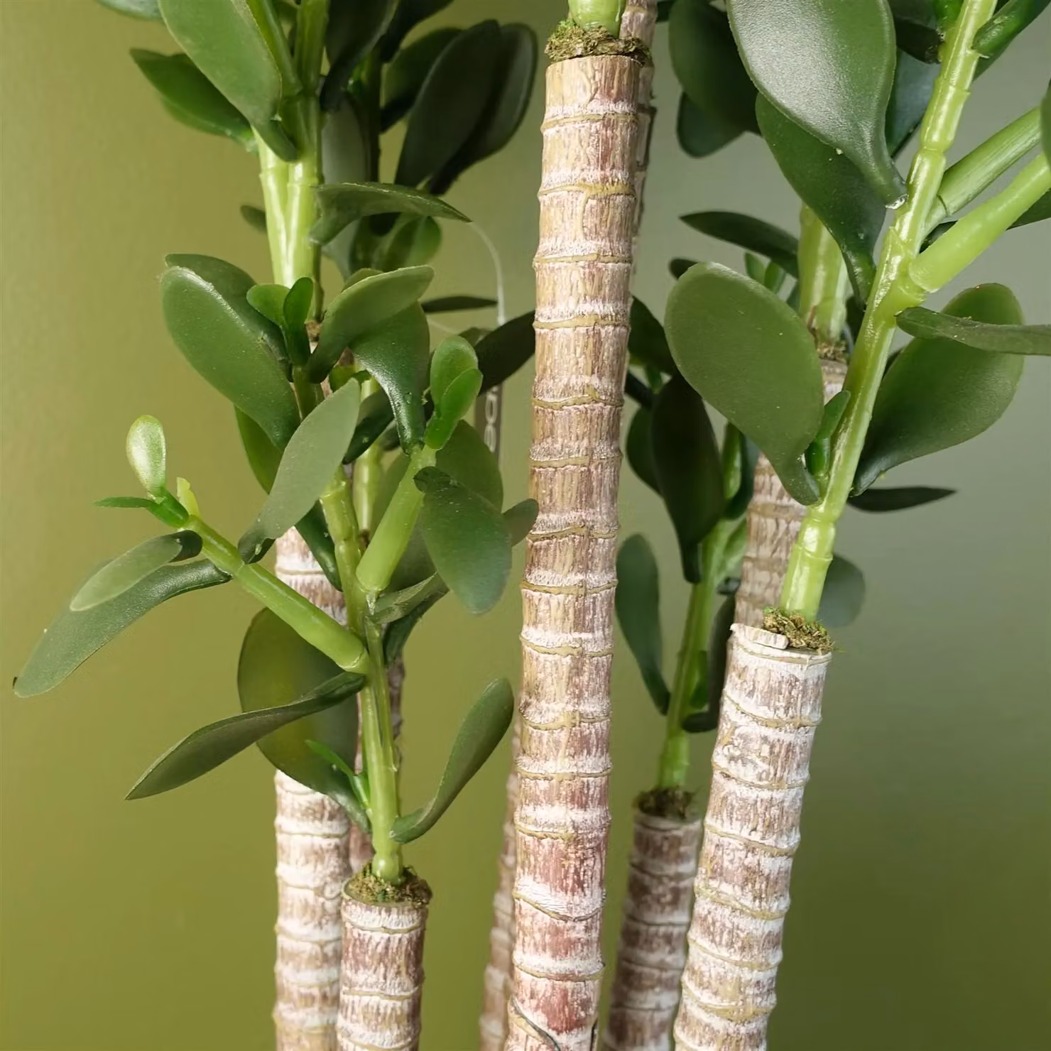 Leaf Green Potted Artificial Plant, Height: 75 cm – 3