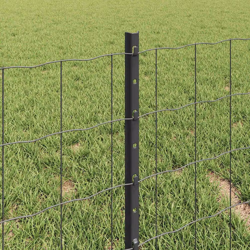 Berkfield Home Sturdy Euro Fence with 5 U Posts, Grey Powder-Coated Steel, W: 10 m, H: 0.8 m, D: 0.4 m – 3