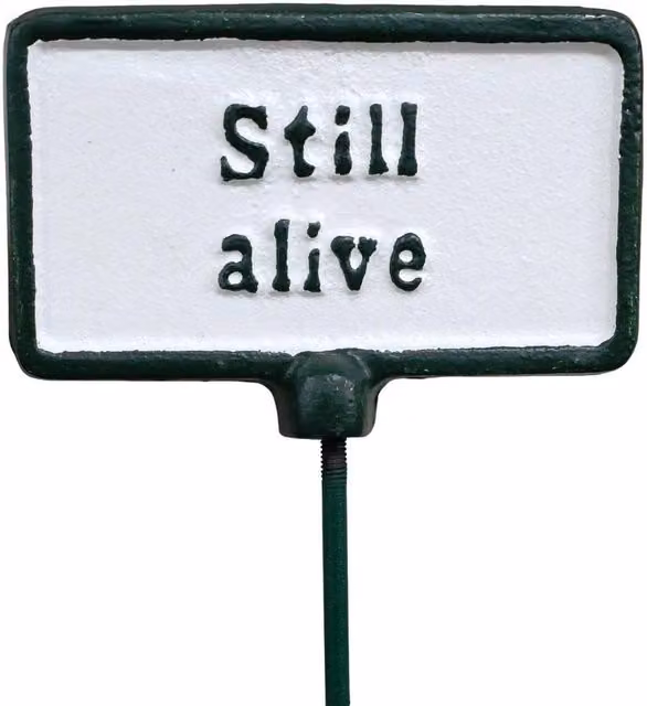 Gifts Direct 2 U Still Alive Garden Stake Plant Sign in Green and White Metal – 1