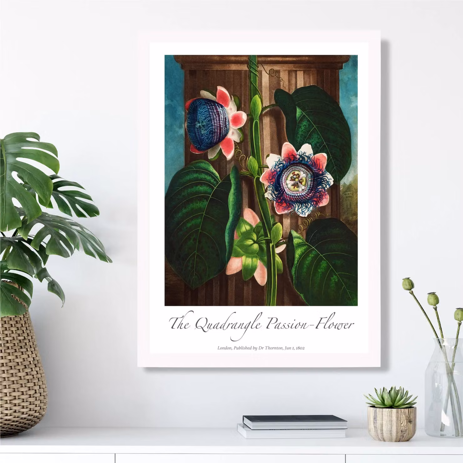 ARTZE Quadrangle Passion Flower Vintage Floral Framed Print, Green and White, A2 – 2