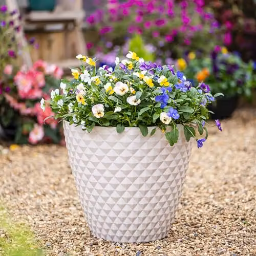 Garden Gear Diamond Planter in Beige, W: 39.5 cm, D: 35.0 cm, H: 39.5 cm – 2