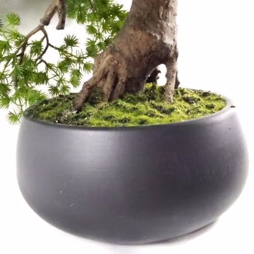 Leaf Design UK Green Artificial Tabletop Bonsai Tree in Ceramic Pot – 5