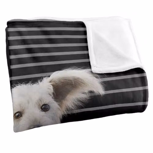 LOGOVISION Superman 2025 Krypto Lines Silky Touch Super Soft Fleece Throw Blanket, White, W/D/H: 152 x 127 cm – 2