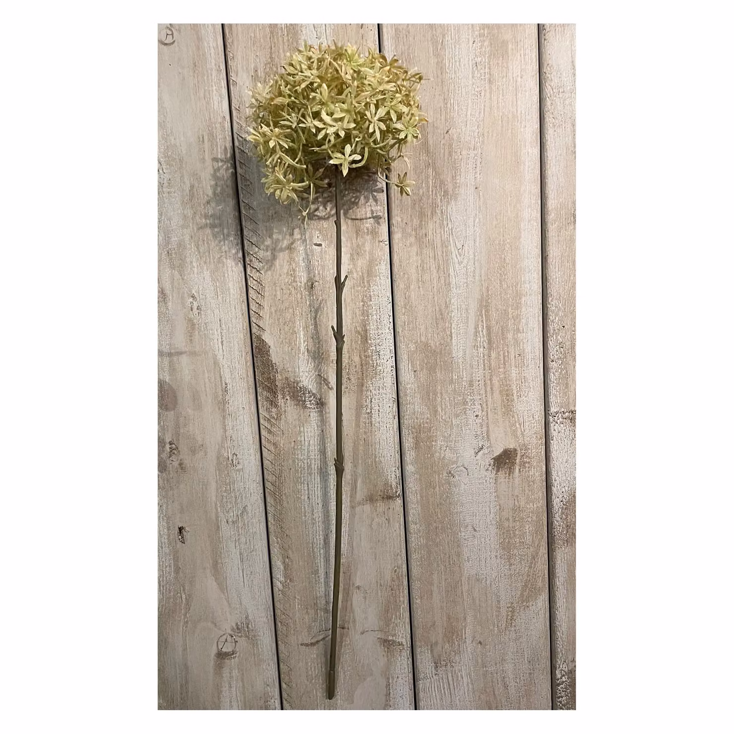 Hill Interiors Allium Stem Artificial Flower in Green, Height: 63 cm – 2