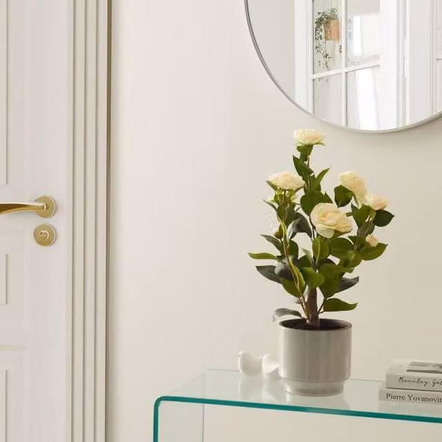 Wyld and Coco Green Artificial Potted Camellia Tabletop Plant, Height: 60 cm