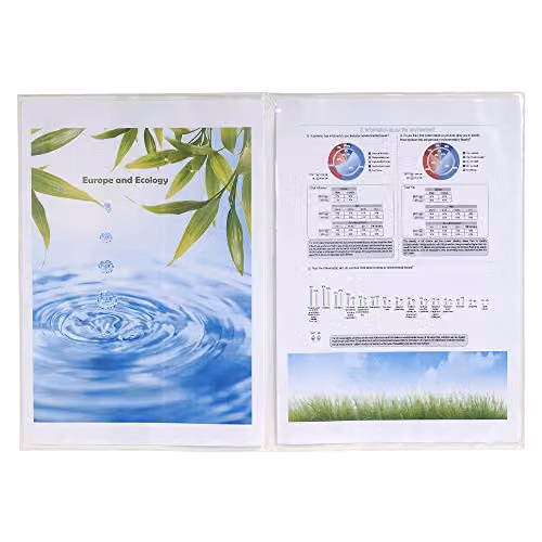 Exacompta Pack of 10 Transparent Double Protective Sleeves for A4 or Folded A3 Documents, PVC Material