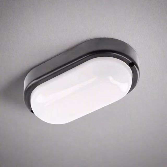 CGC KODO Black Round LED Surface Mount Ceiling and Wall Light