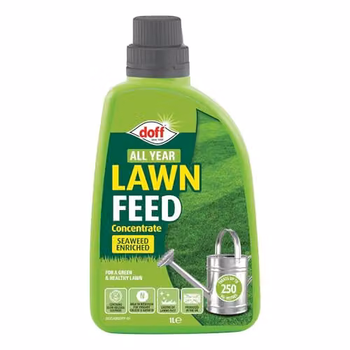 Doff All Year Lawn Feed Concentrate 1L Liquid Seaweed Enriched Plant Tonic for Healthy Green Grass