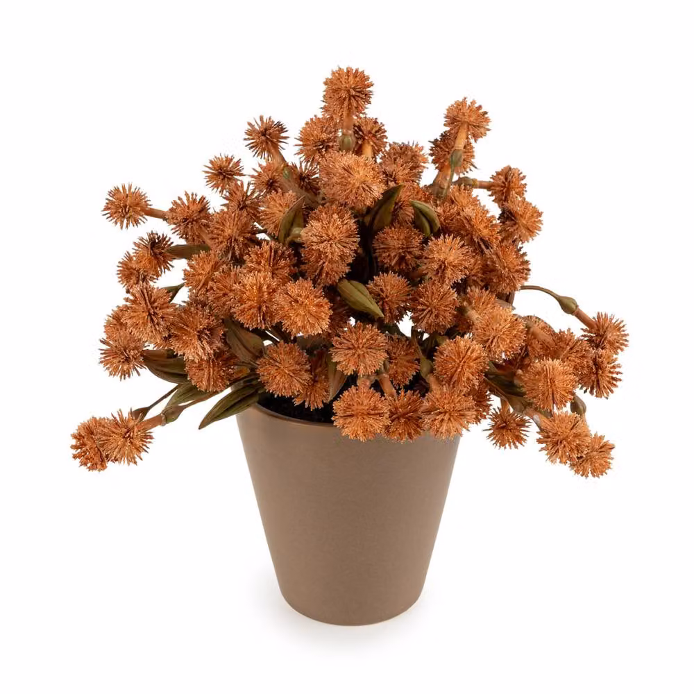 Madison & Mayfair Potted Allium Plant in Orange, Yellow and Green – 2