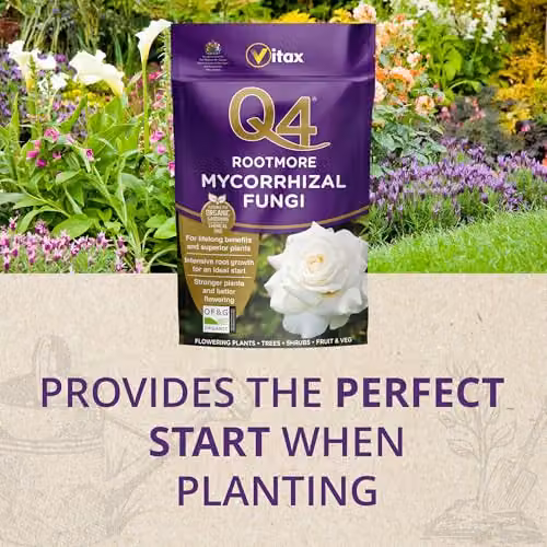 Vitax Q4 Rootmore Organic Mycorrhizal Fungi Rooting Powder, 250g – 3