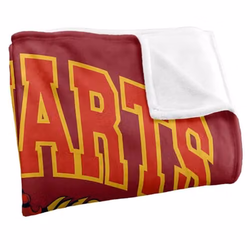 Warner Bros. Harry Potter Hogwarts Gryffindor Alumni Super Soft Fleece Throw Blanket, Red/Multicolour, W: 127 cm x D: 152.4 cm – 2