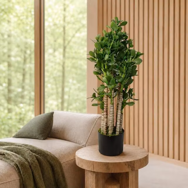 Leaf Faux Deluxe 75cm Artificial Green Jade Plant – 1