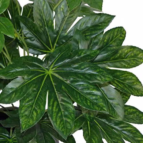 Leaf Design UK Artificial Japanese Aralia Potted Plant, Green, Height: 60 cm – 2