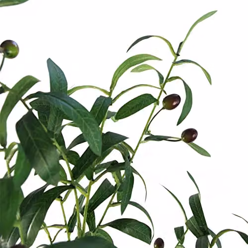 Leaf Design UK 120cm Artificial Green Olive Tree in a Black Plastic Pot – 2