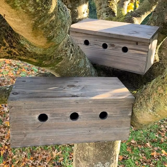 Sparrow Colony Terrace Wooden Nesting Box - Brown