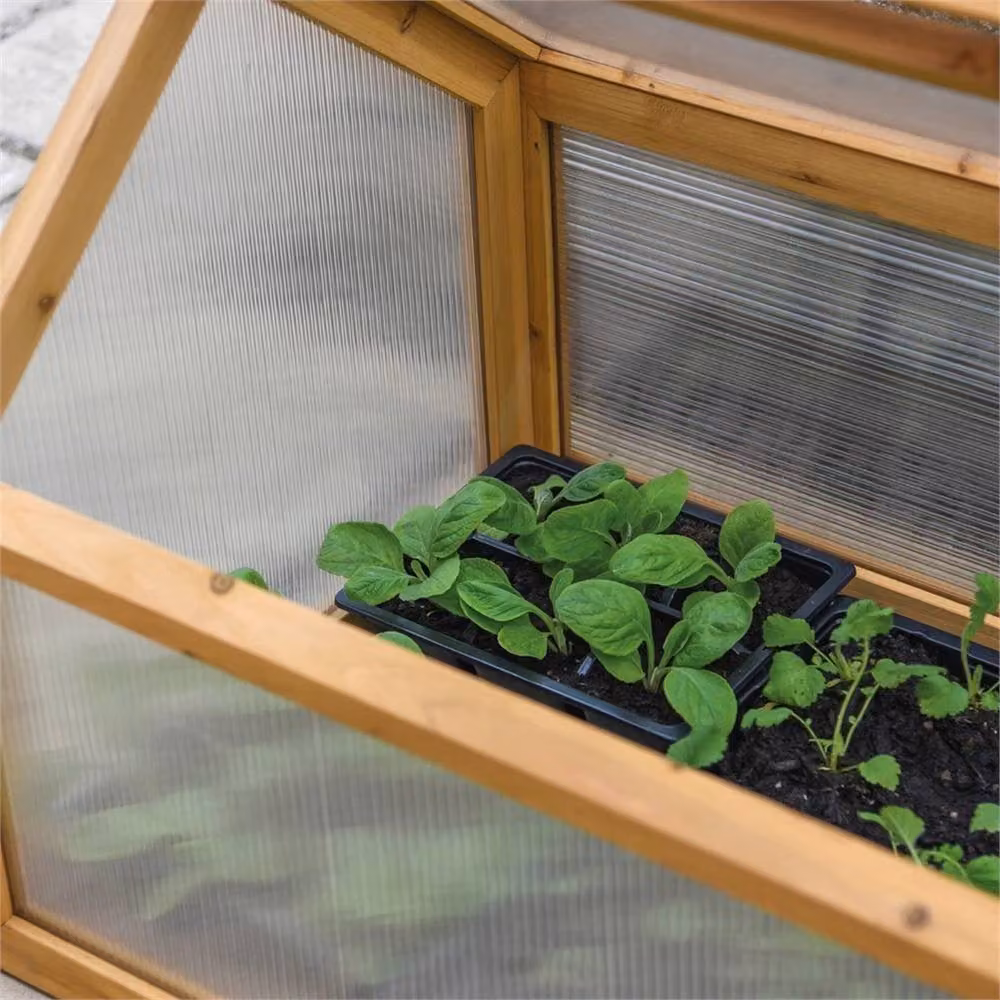 Nordara Garden Grow Brown Wooden Cold Frame with Clear Polycarbonate Lid, 0.6m2 – 4