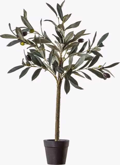 Perch & Parrow Small Green Faux Mediterranean Olive Tree for Tabletop