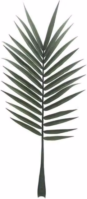 KDMD Botanica Modern Green Palm Leaf, Height: 127 cm