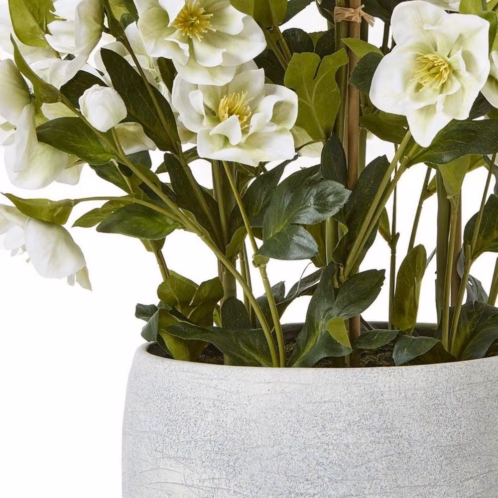 Lemon Pavilion Furniture and Decor Large Hellebore in Pot, Plastic, White/Grey, W: 52 cm, D: 52 cm, H: 85 cm – 4