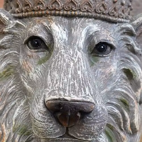 Gifts Direct 2 U Lion King of the Jungle Decorative Resin Plant Pot in Grey, W/D/H: 34.0 x 31.0 x 27.0 cm – 3
