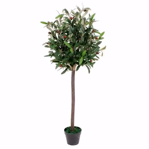 Leaf Design UK Artificial Mediterranean Olive Tree in Green and Black Plastic Pot, Height: 90 cm