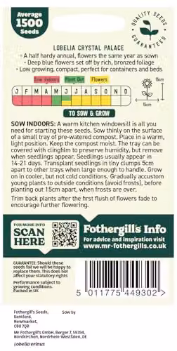 Mr Fothergill's Oh Sow Simple Blue Lobelia Flower Seeds – 2